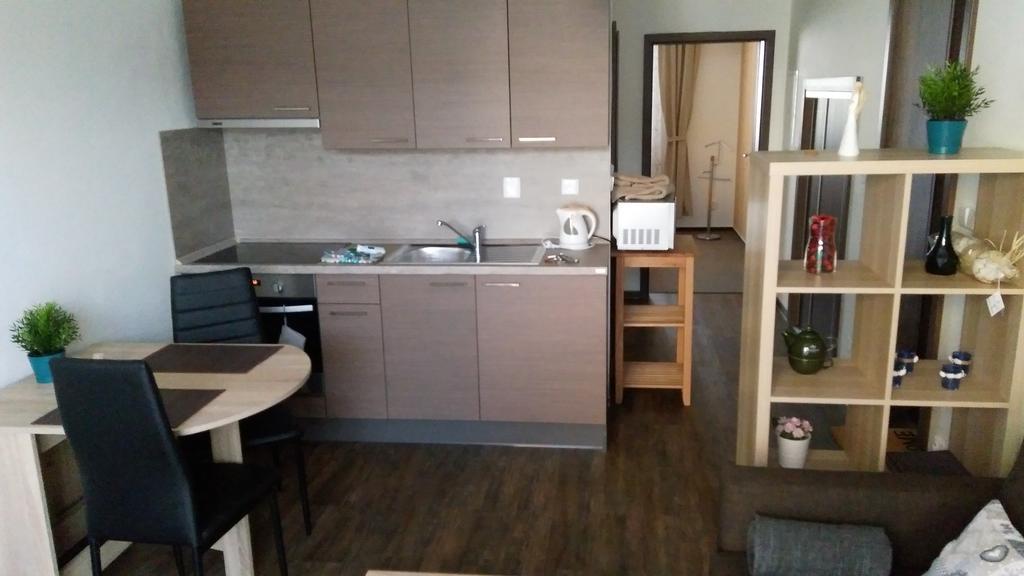 Apartmany U Sv. Krystofa 布泽涅茨 外观 照片