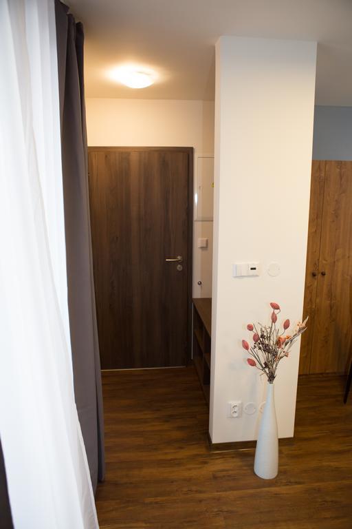 Apartmany U Sv. Krystofa 布泽涅茨 外观 照片